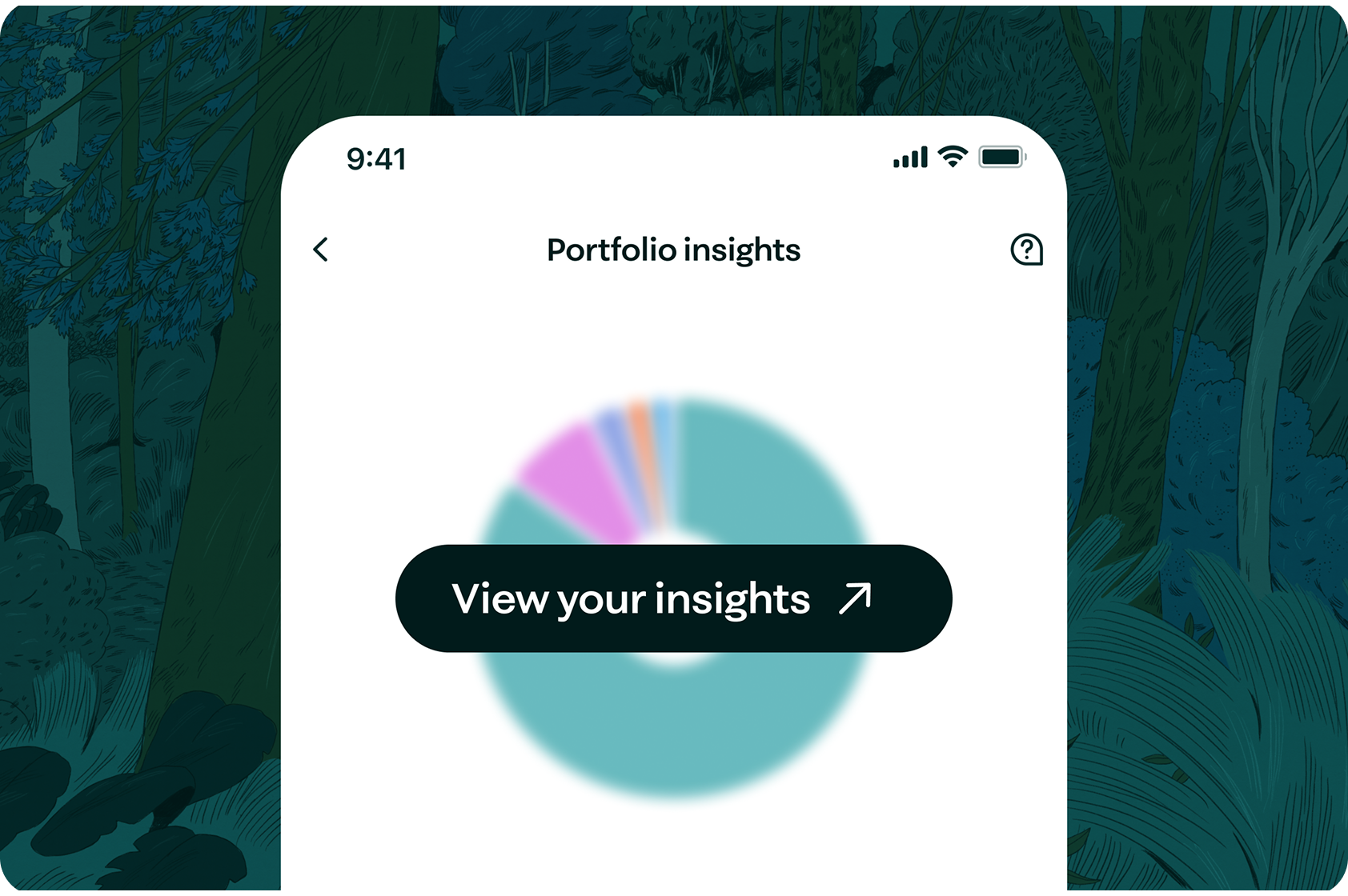 Portfolio Insights